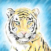 Tiger Clip Studio